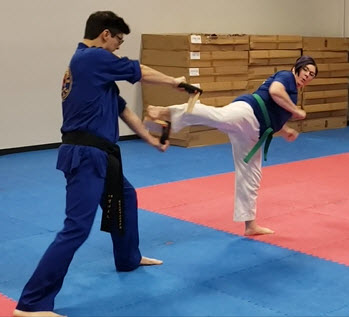 Holly breaking a board at tae kwon do test